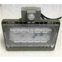 2 years warranty 220V driverless led chip led floodlight 30W